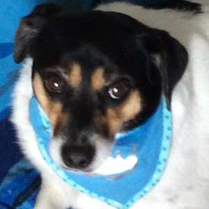 Fundraising Page: Will Boehmler